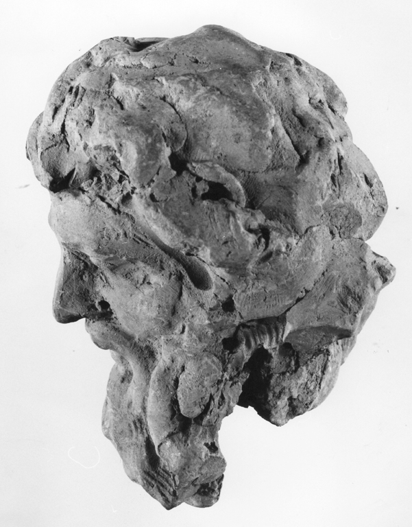 testa di San Paolo (scultura) di Algardi Alessandro (sec. XVII)