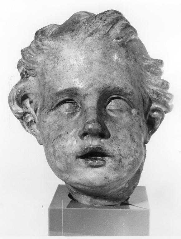 testa di putto (scultura) di Raggi Antonio (sec. XVII)