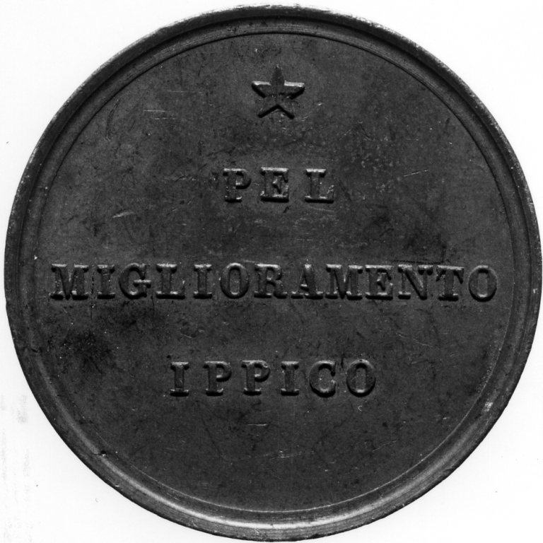 Allegoria dell'Italia Agricola (medaglia) di Pieroni Adolfo (sec. XIX)