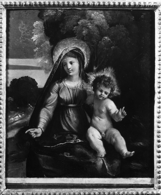 Madonna con Bambino (dipinto) di Luteri Giovanni detto Dosso Dossi (sec. XVI)