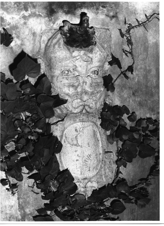 fontana - ambito romano (ultimo quarto sec. XV)