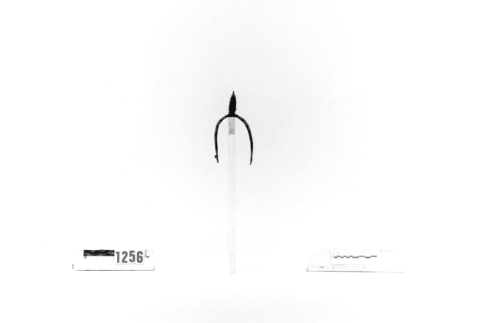 sprone - a rotella - ambito europeo (sec. XV)