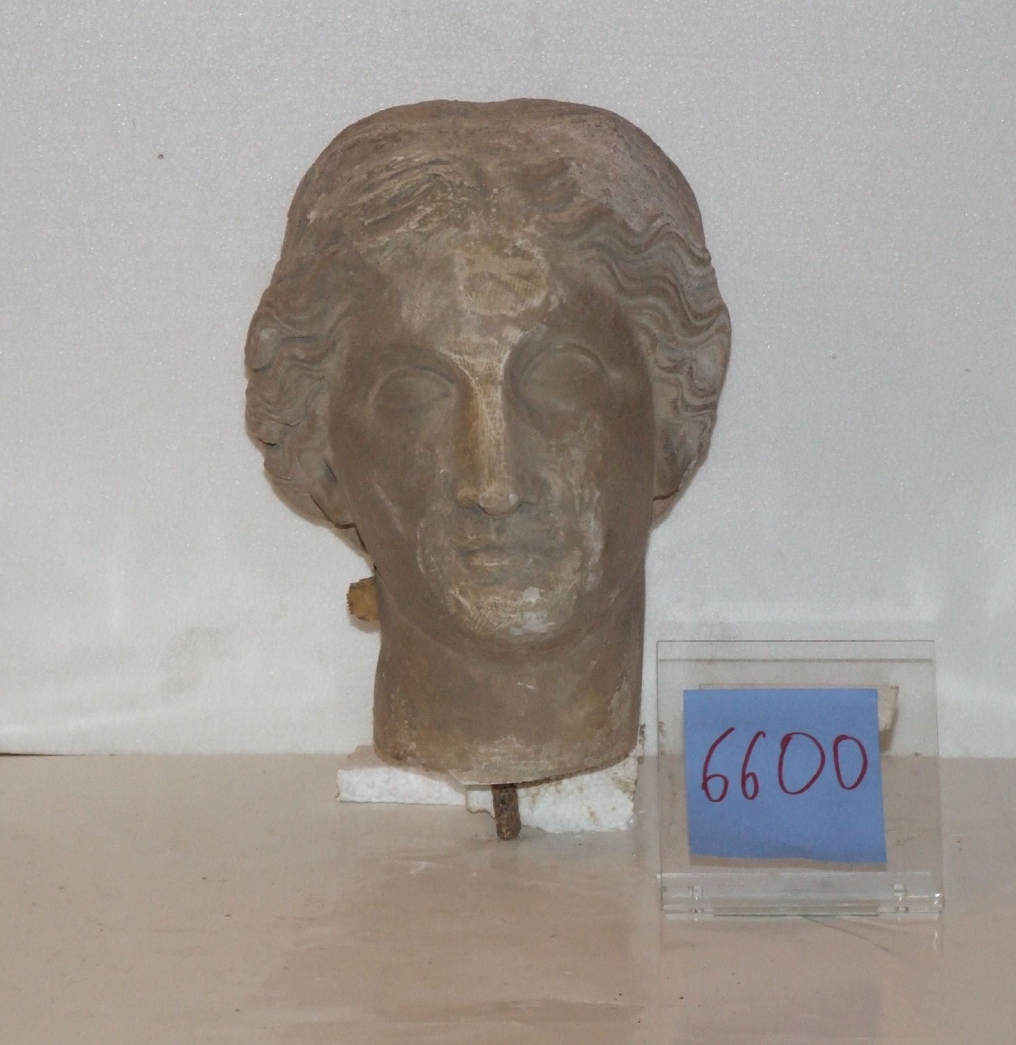 Figura femminile (testa) (scultura, frammento) - arte greco-romana (prima metà sec. I)