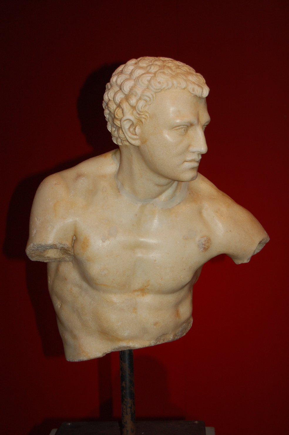 Atleta (busto) (statua, frammento) - arte romana (sec. I)