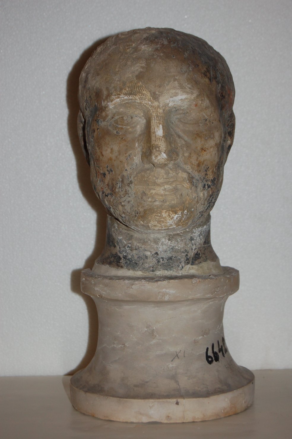 Ritratto virile ignoto (testa) (statua, frammento) - arte romana (prima metà sec. I)
