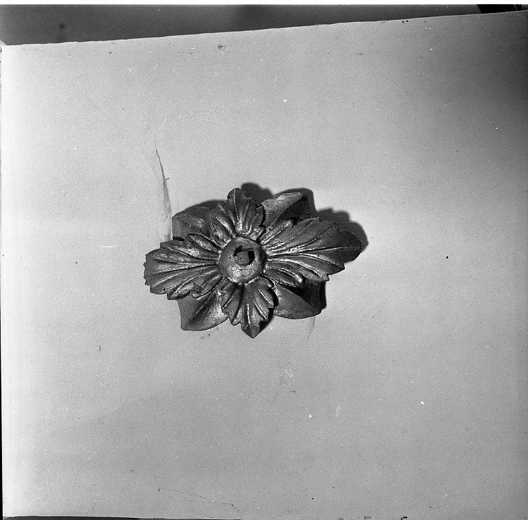 rosone (rilievo, coppia) - bottega marchigiana (sec. XIX)