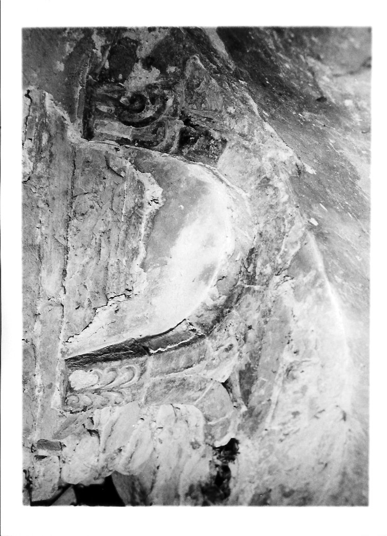 arcatella, serie - ambito marchigiano (sec. XI)