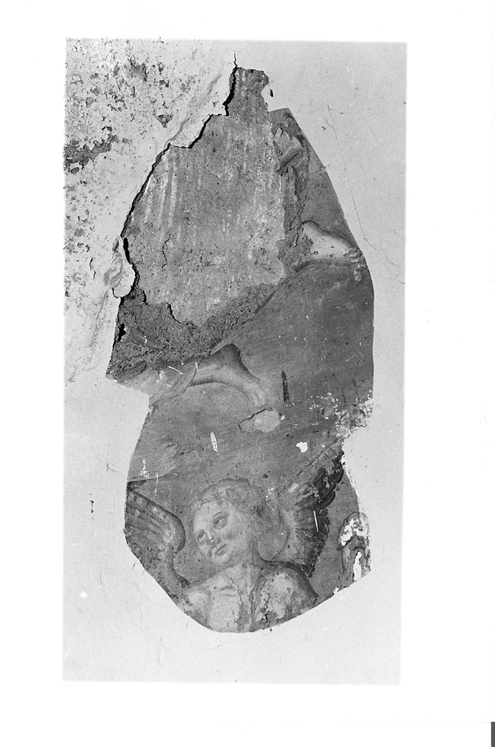 angeli (dipinto, frammento) - ambito marchigiano-romagnolo (metà sec. XVI)