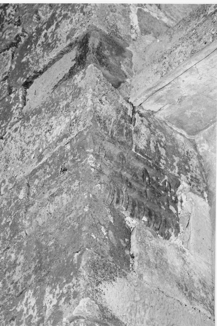 motivo decorativo fitomorfo (capitello, frammento) - bottega sarda (sec. XIV)