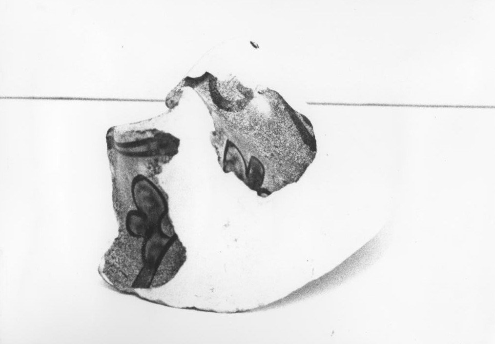 boccale, frammento - bottega di Montelupo Fiorentino (fine sec. XVI)