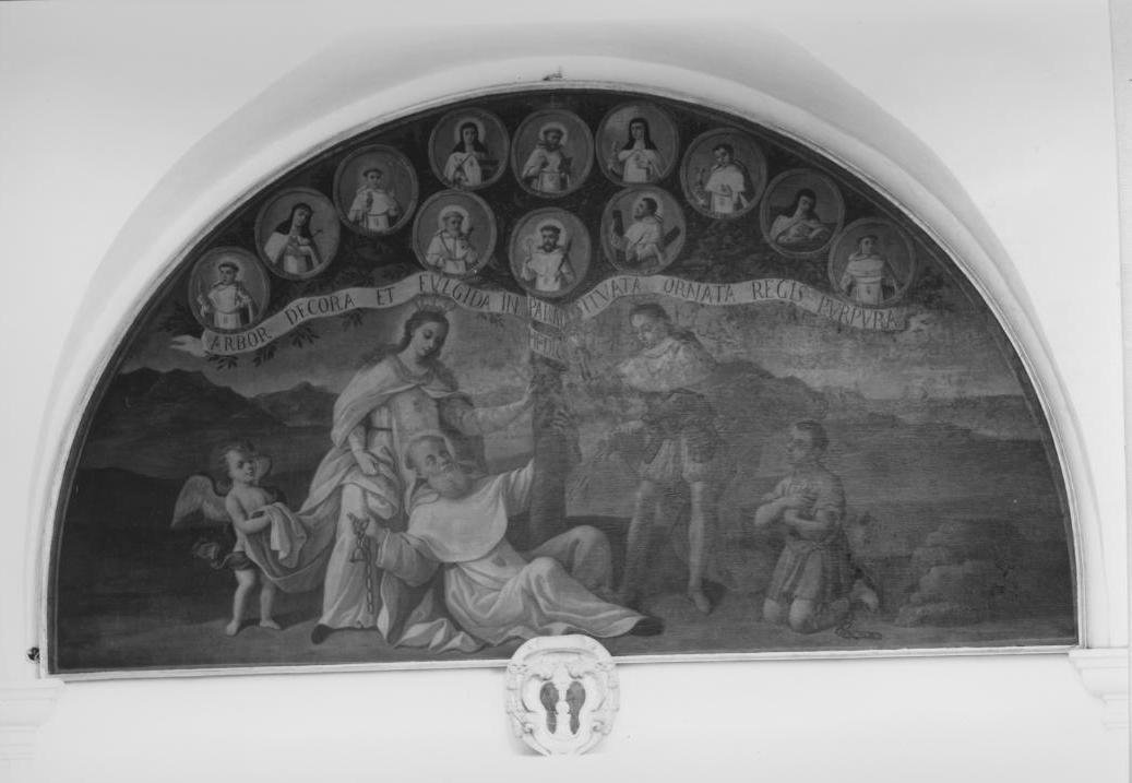 L'Albero dell'Ordine Mercedario, Madonna della Mercede (dipinto) di Massa Francesco (attribuito) (sec. XVIII)