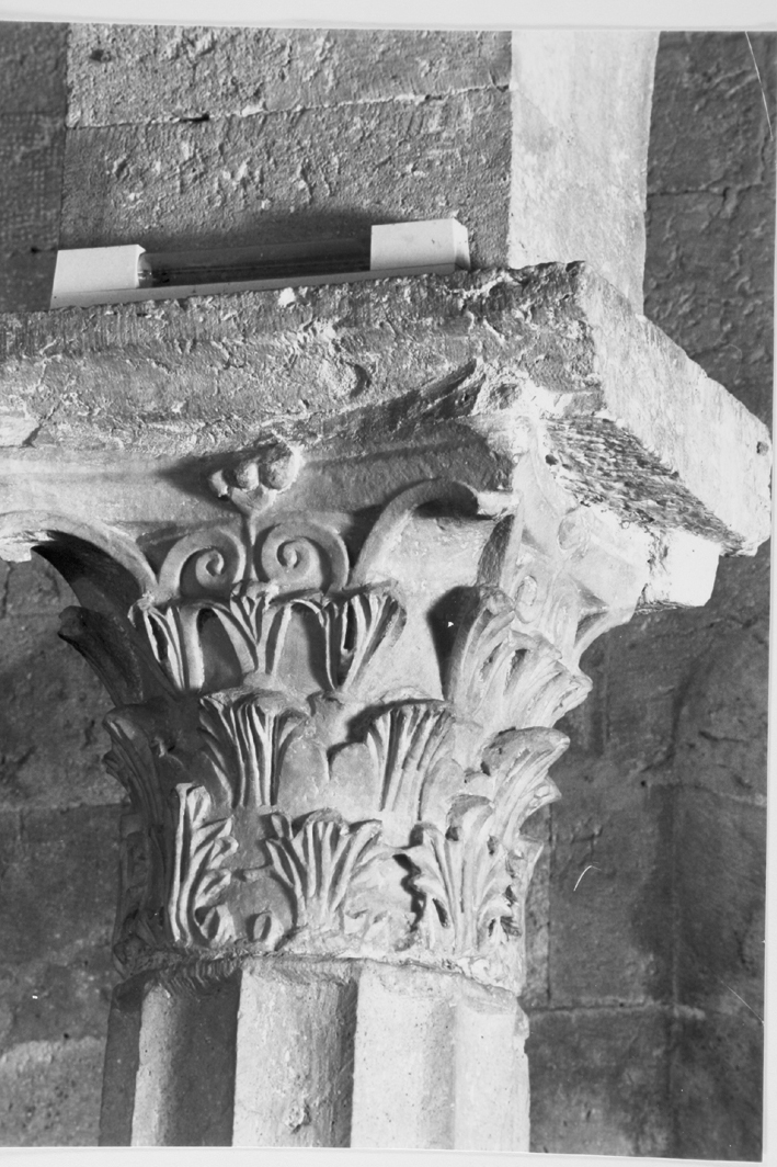 motivi decorativi vegetali (capitello) - bottega franco-toscana (sec. XII)