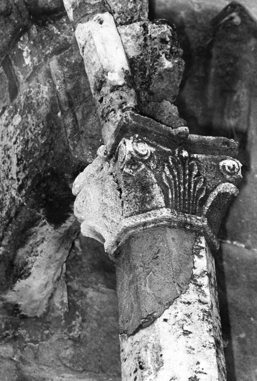 motivo decorativo fitomorfo (capitello di pilastro, elemento d'insieme) - bottega araba, bottega lombarda (sec. XIII)
