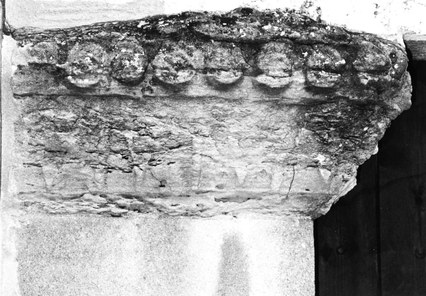motivo decorativo fitomorfo (mensola architettonica, frammento) - bottega francese (primo quarto sec. XIII)