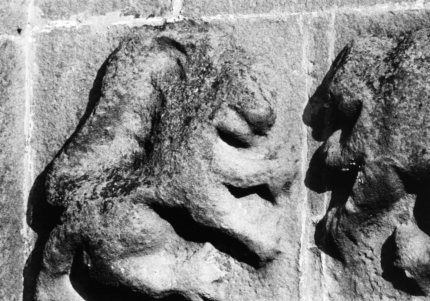 leoni (rilievo, coppia) - bottega lombarda (sec. XIII)