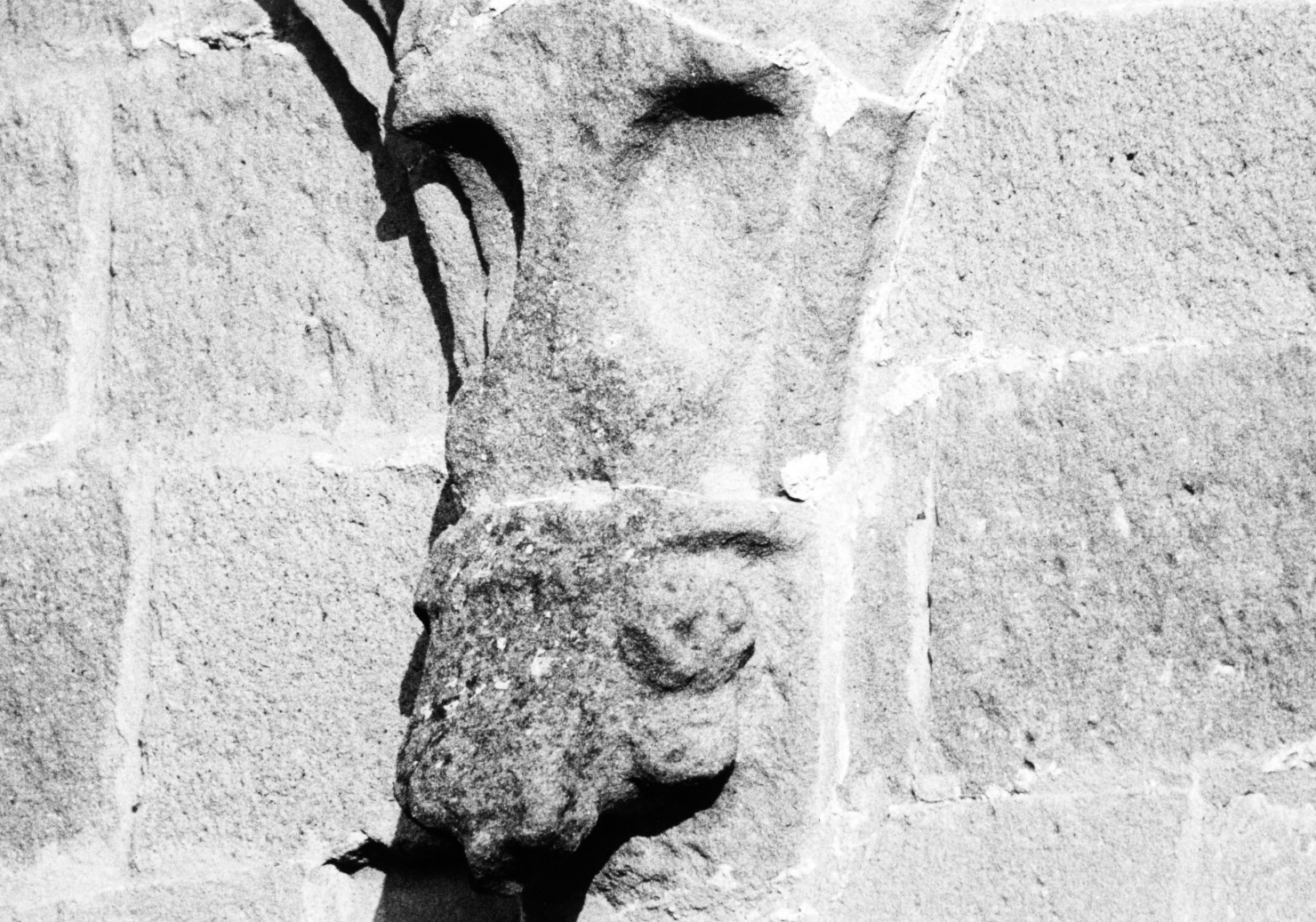 motivo decorativo zoomorfo (mensola architettonica) - bottega lombarda (sec. XIII)