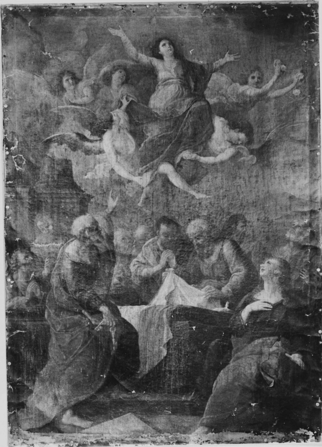 assunzione della Madonna (dipinto) - ambito italiano (seconda metà sec. XVIII)