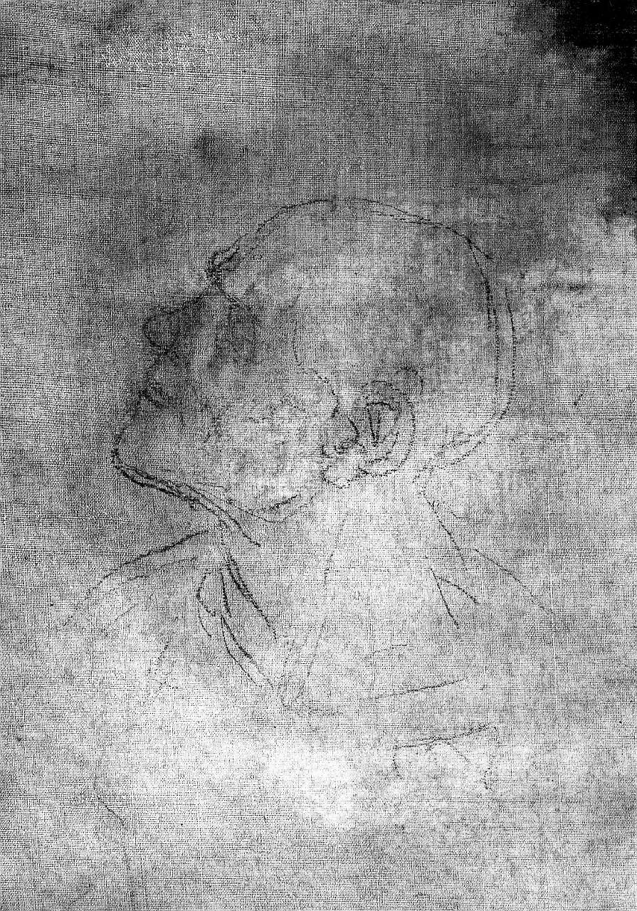 San Girolamo (disegno) di Signorelli Luca (sec. XVI)