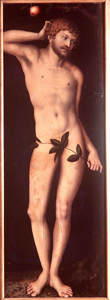 Adamo (dipinto) di Cranach Lucas il Vecchio (sec. XVI)