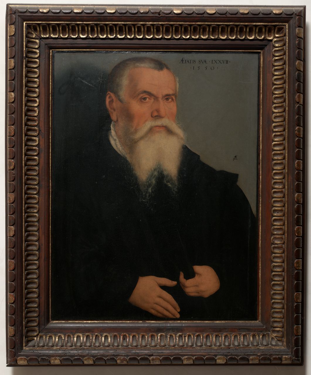 ritratto di Lukas Cranach il vecchio (dipinto) di Cranach Lucas il Giovane (sec. XVI)