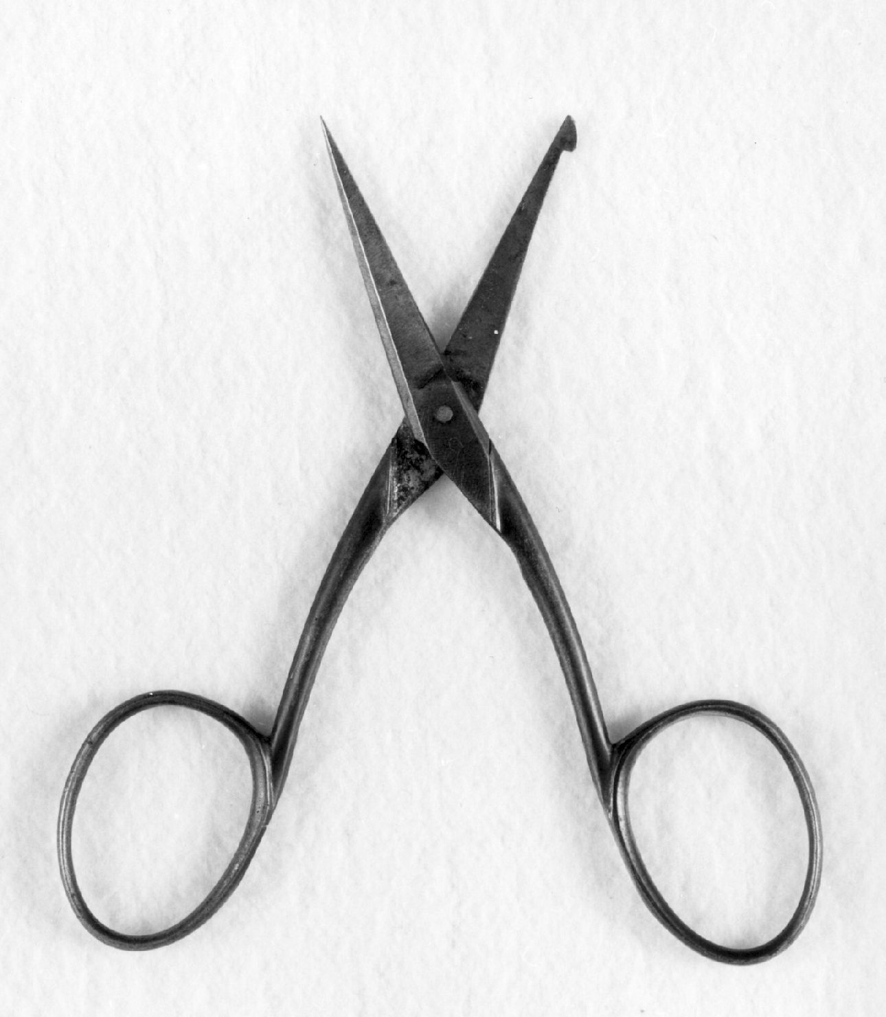 forbici, opera isolata - manifattura italiana (sec. XIX)
