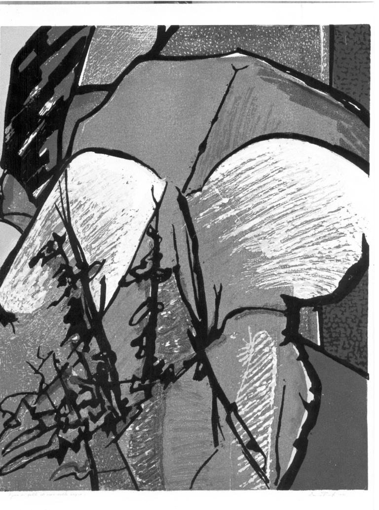 Figura di spalle che esce dalle acque, soggetto astratto (stampa) di Pinto Enrico (sec. XX)