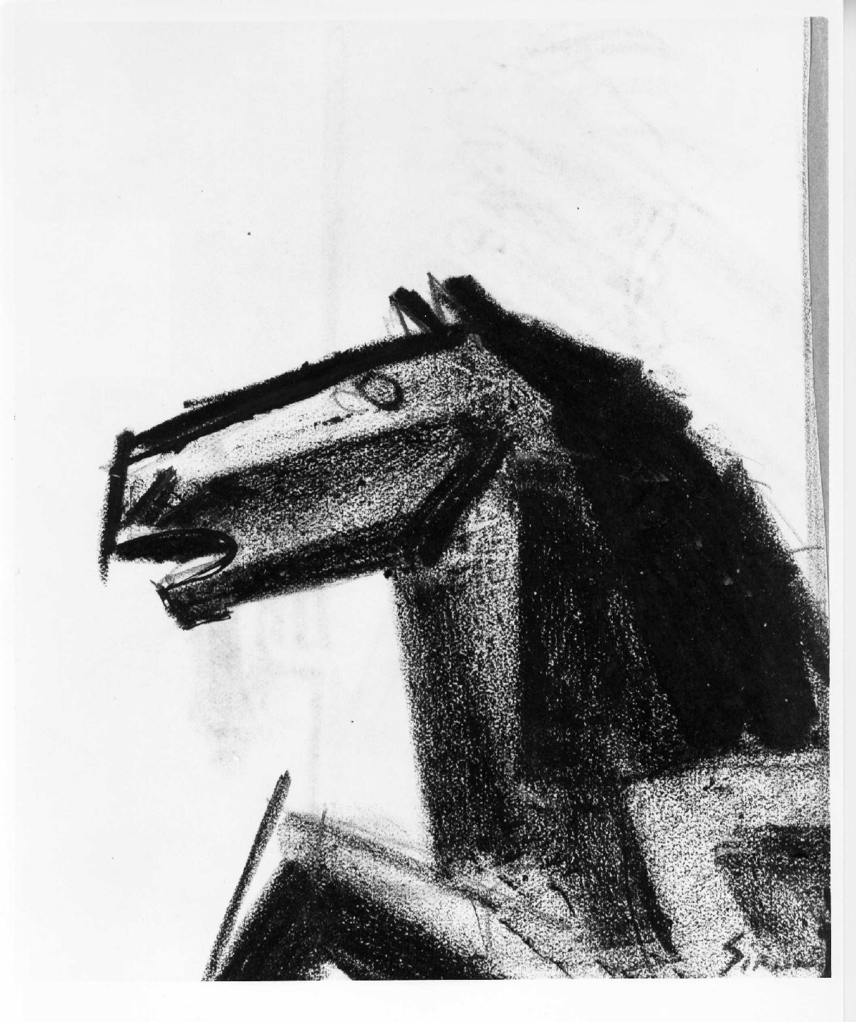 testa di cavallo (disegno) di Sironi Mario (sec. XX)