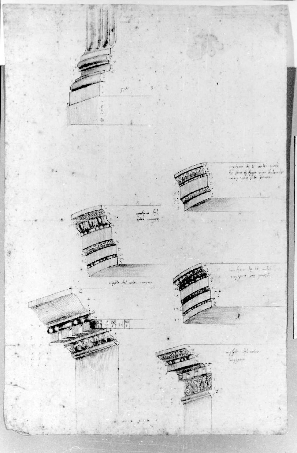 elementi architettonici (disegno) di Palladio Andrea (sec. XVI)