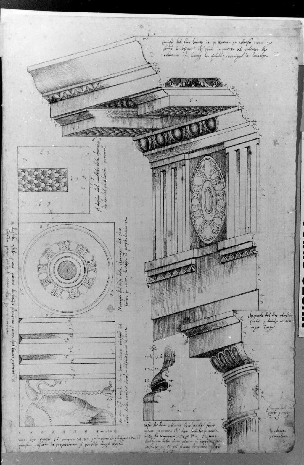 elementi architettonici (disegno) di Palladio Andrea (sec. XVI)