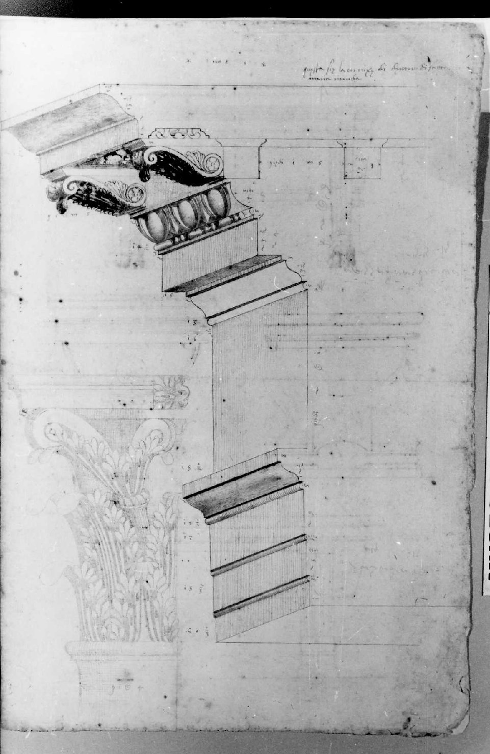 elementi architettonici (disegno) di Palladio Andrea (sec. XVI)