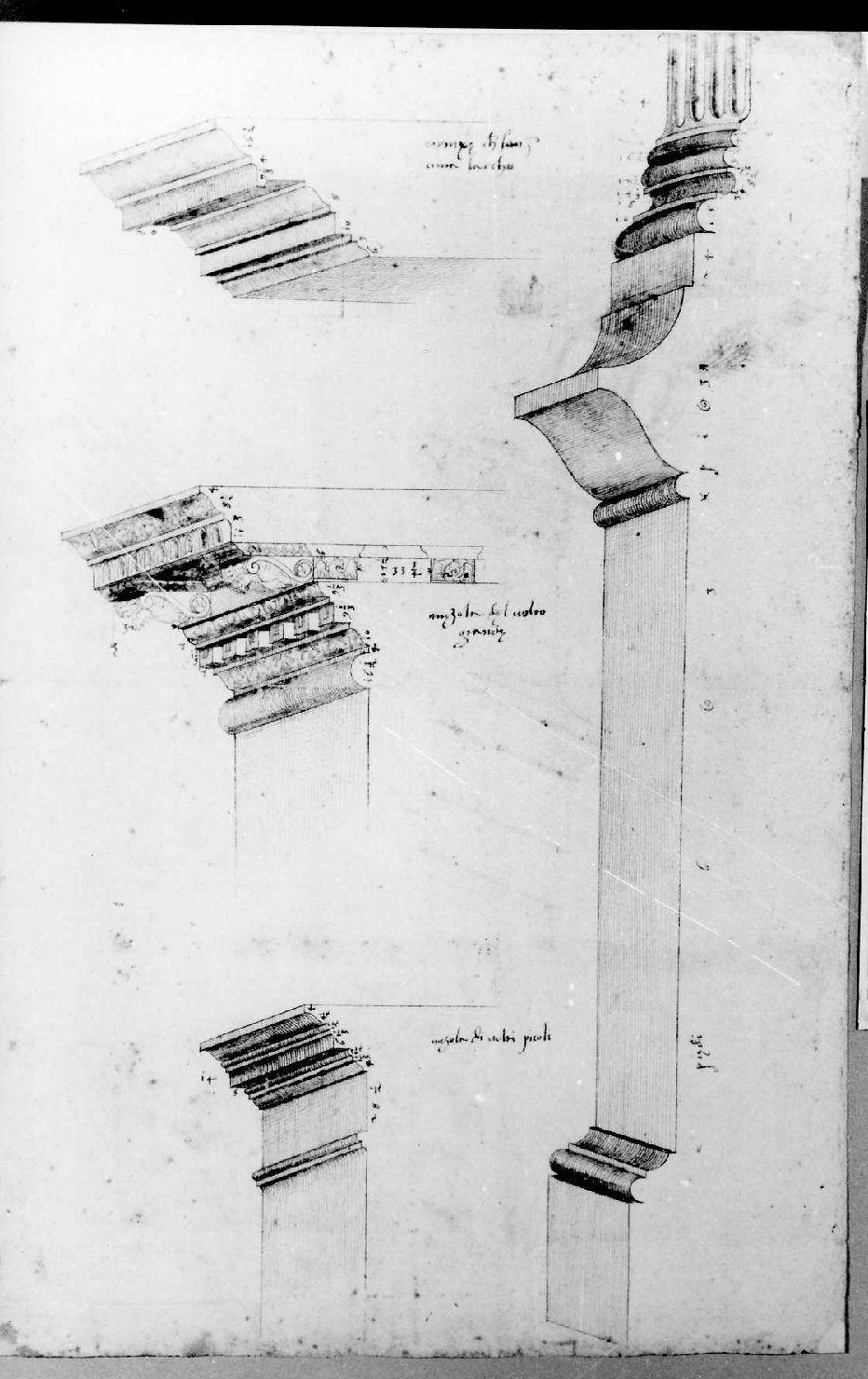 elementi architettonici (disegno) di Palladio Andrea (sec. XVI)