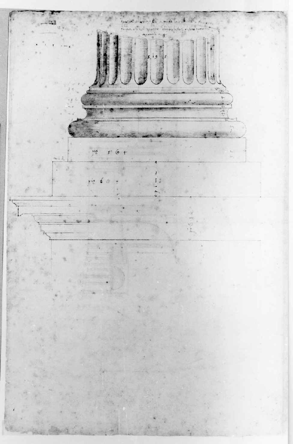 elementi architettonici (disegno) di Palladio Andrea (sec. XVI)