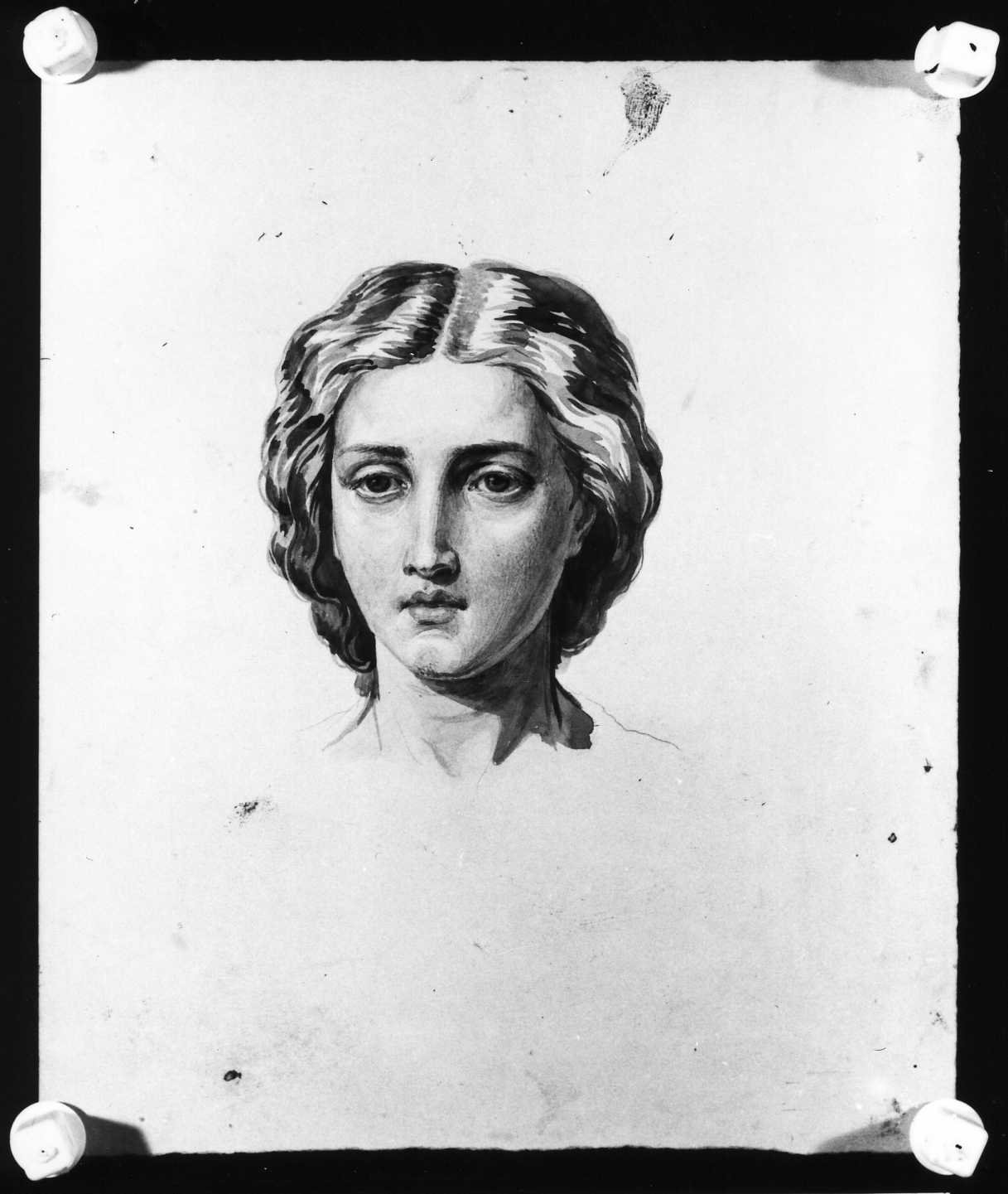 testa di donna (disegno) di Busato Giovanni (sec. XIX)