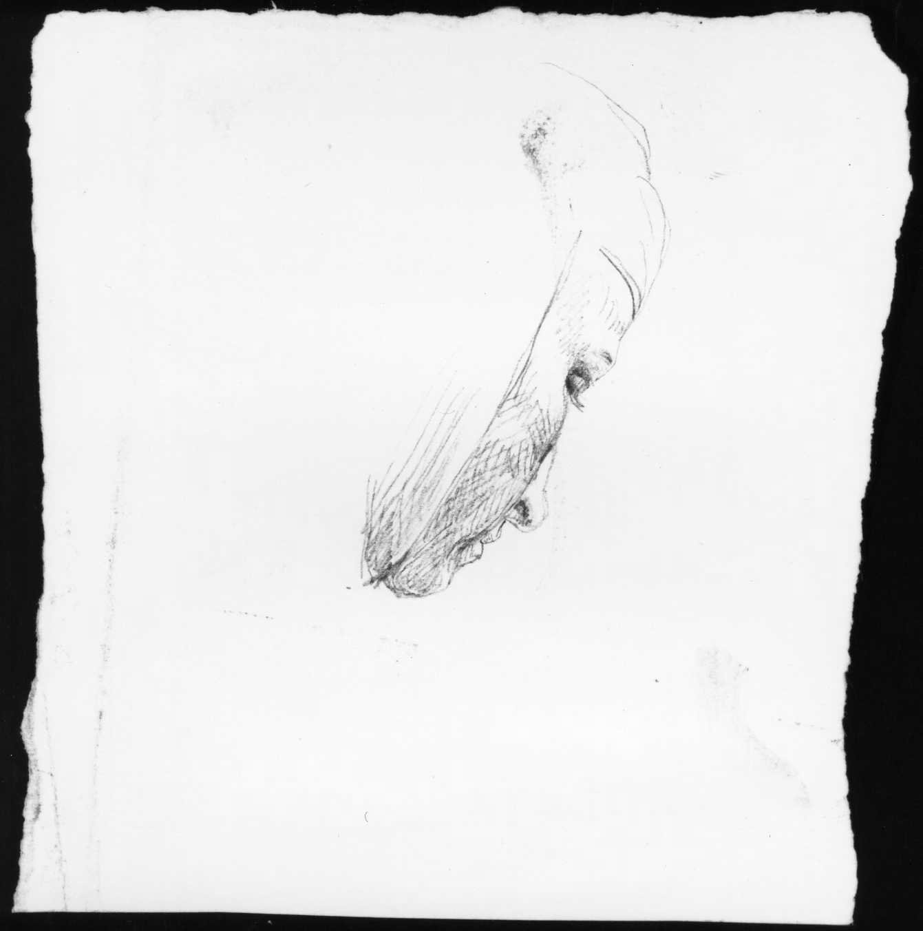 testa di donna (disegno, serie) di Busato Giovanni (sec. XIX)