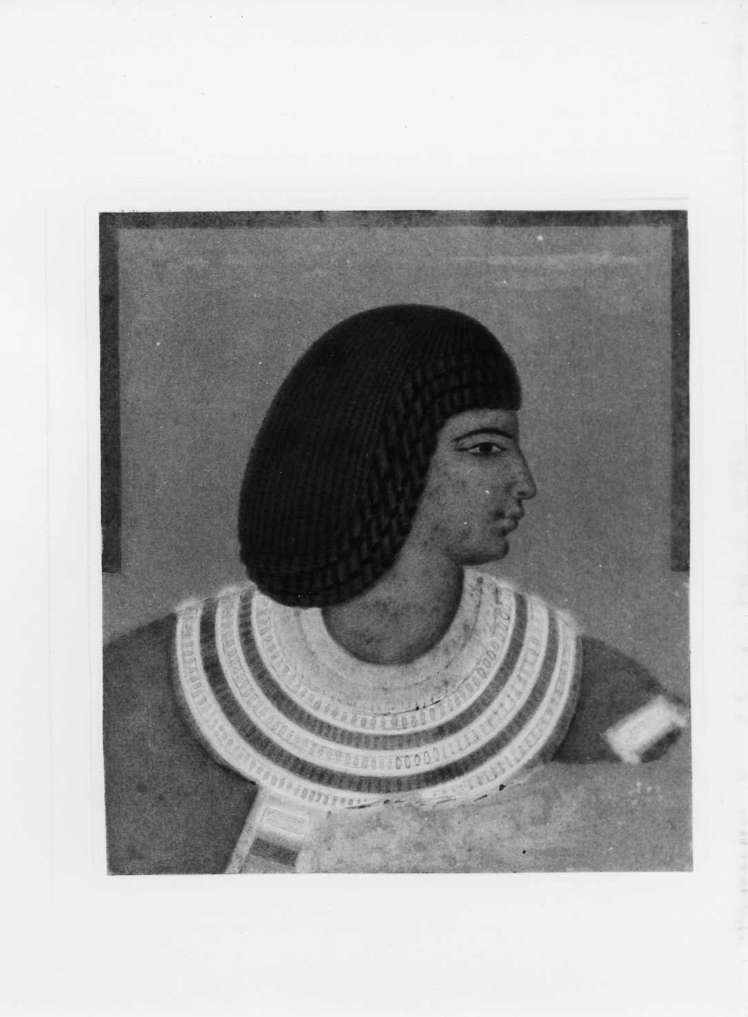 testa d'uomo di profilo (disegno, serie) di Perlotto Tito Catone (sec. XIX)