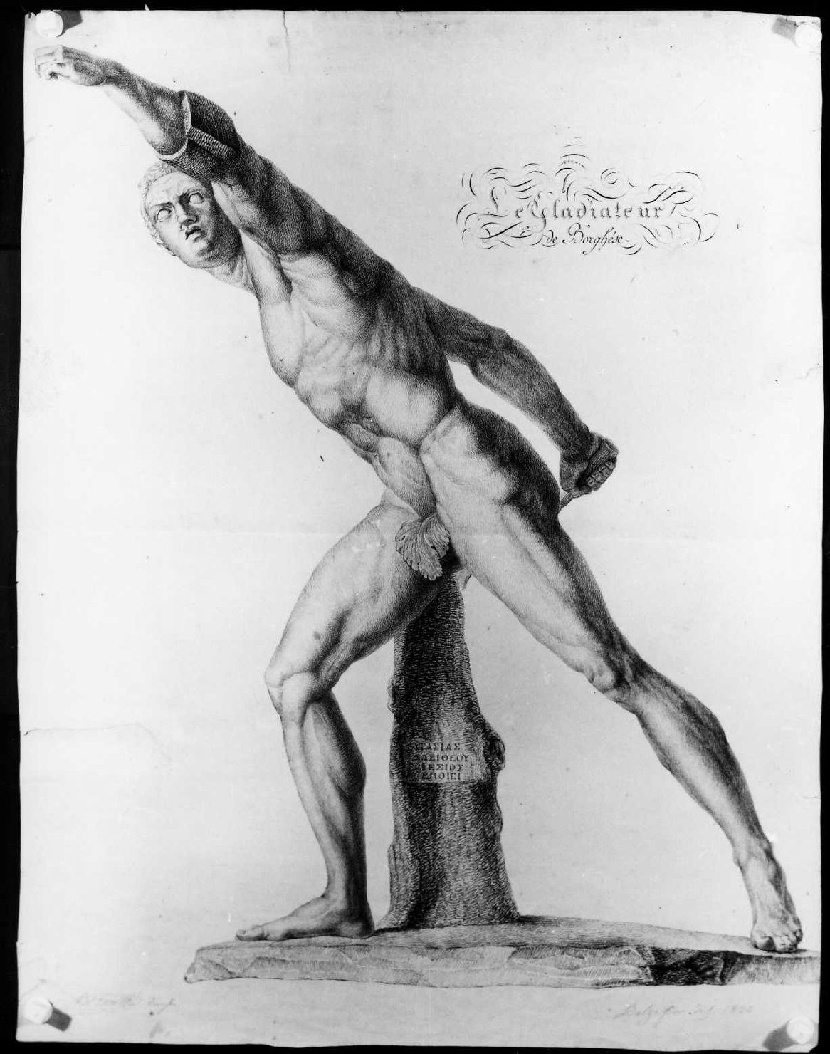 Gladiatore Borghese, figura maschile nuda (disegno) di Balzafiori Carlo (sec. XIX)