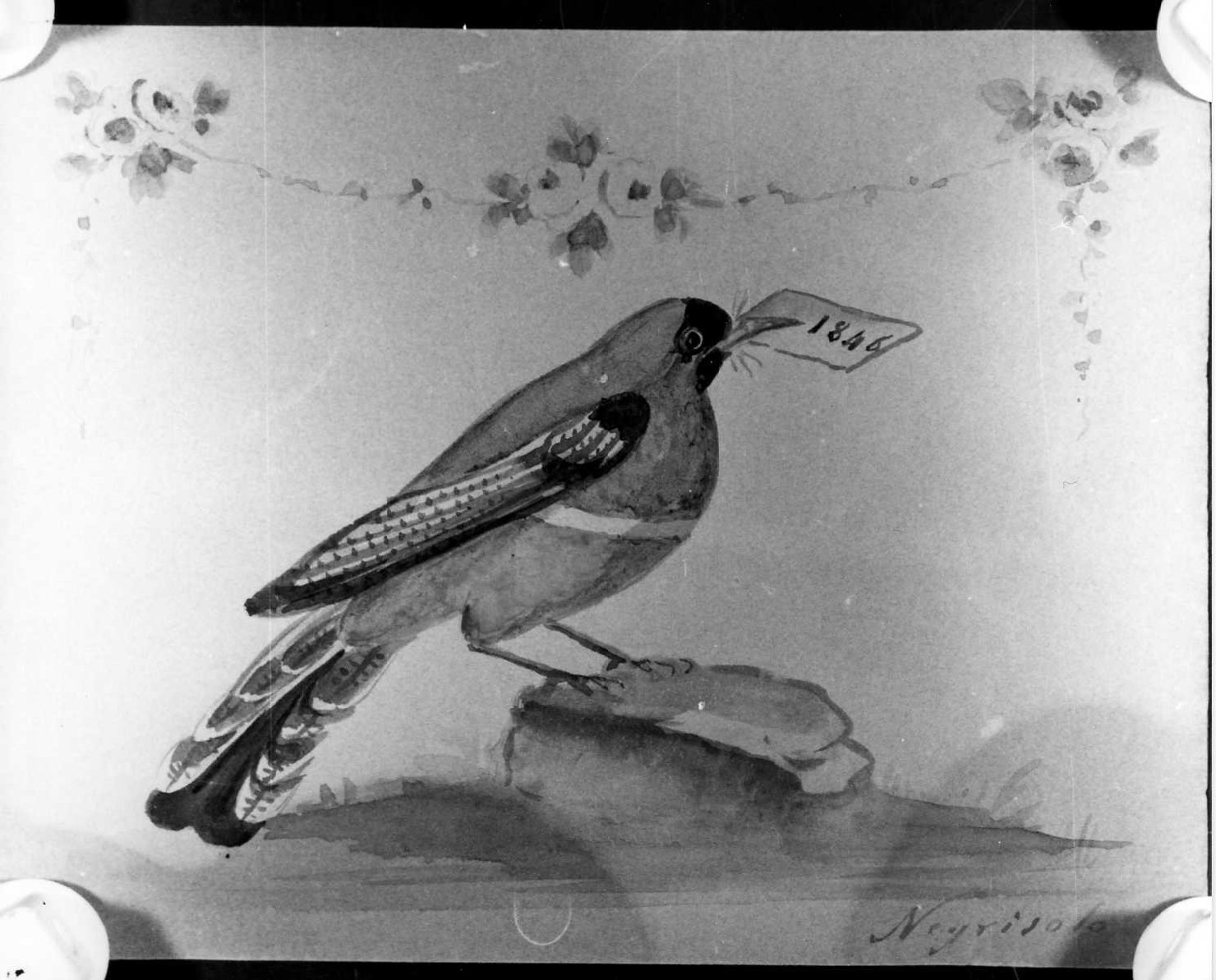 uccello (disegno) di Negrisolo Pietro (sec. XIX)