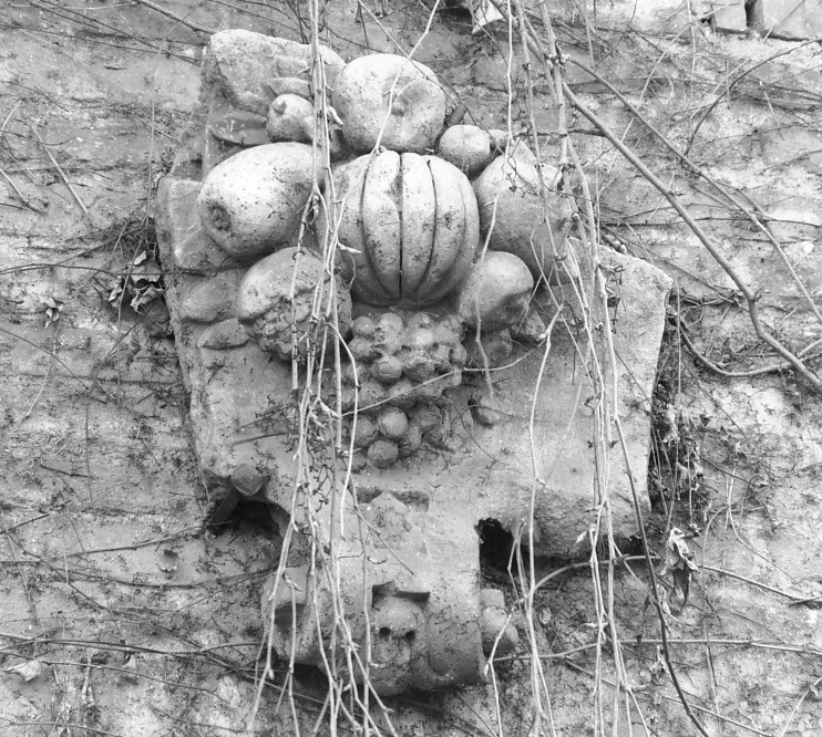 motivo decorativo (decorazione plastica) - ambito veneto (seconda metà sec. XVII)