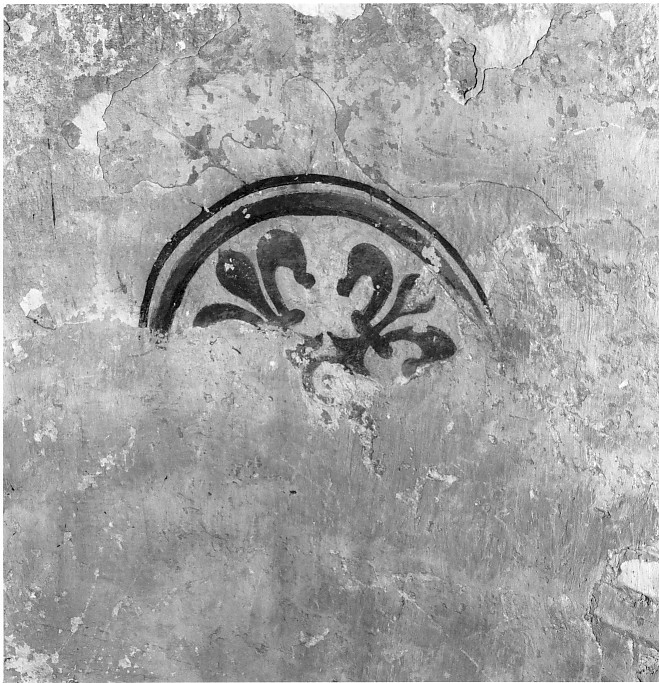 motivi decorativi floreali (dipinto, frammento) - ambito veronese (sec. XVI)