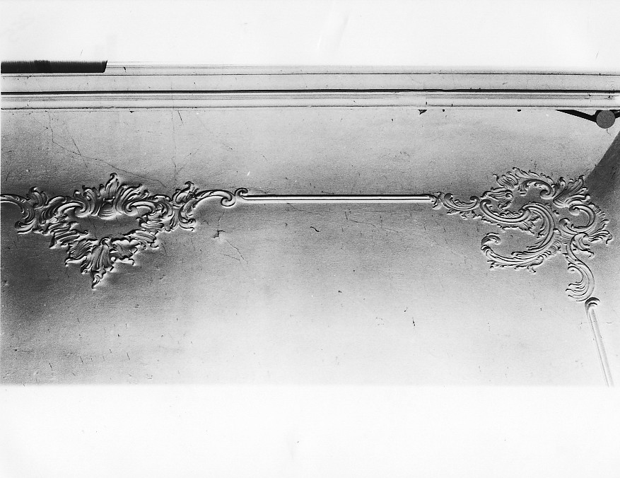 motivi decorativi vegetali (decorazione plastica, complesso decorativo) - bottega vicentina (sec. XIX)