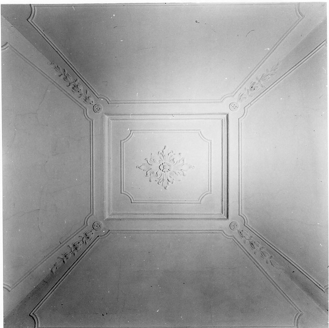 motivi decorativi vegetali (decorazione plastica) - bottega vicentina (sec. XIX)