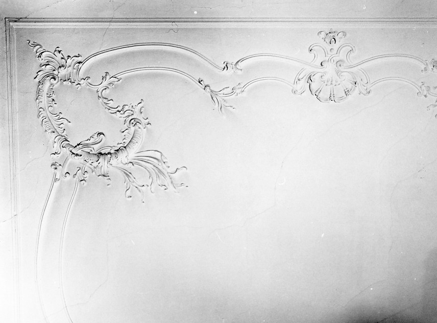 motivi decorativi vegetali (decorazione plastica, complesso decorativo) - bottega vicentina (sec. XIX)