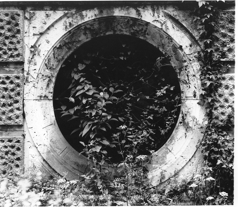 mostra di finestra di Caregaro Negrin Antonio (sec. XIX)