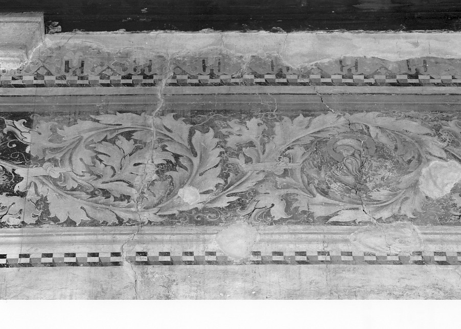 motivi decorativi a girali vegetali (dipinto, elemento d'insieme) - ambito veronese (prima metà sec. XIV)