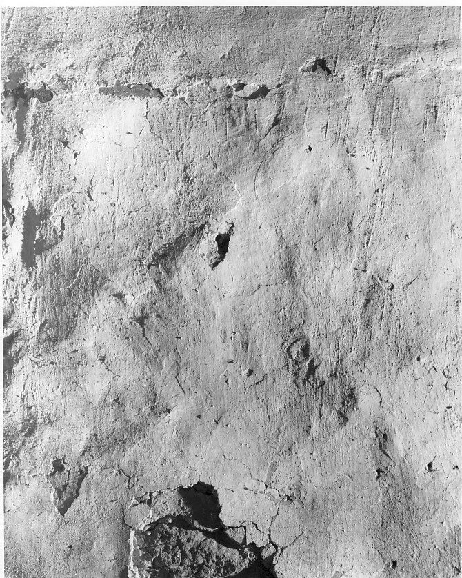 Santo (dipinto, frammento) - ambito veneto (secc. XIII/ XIV)