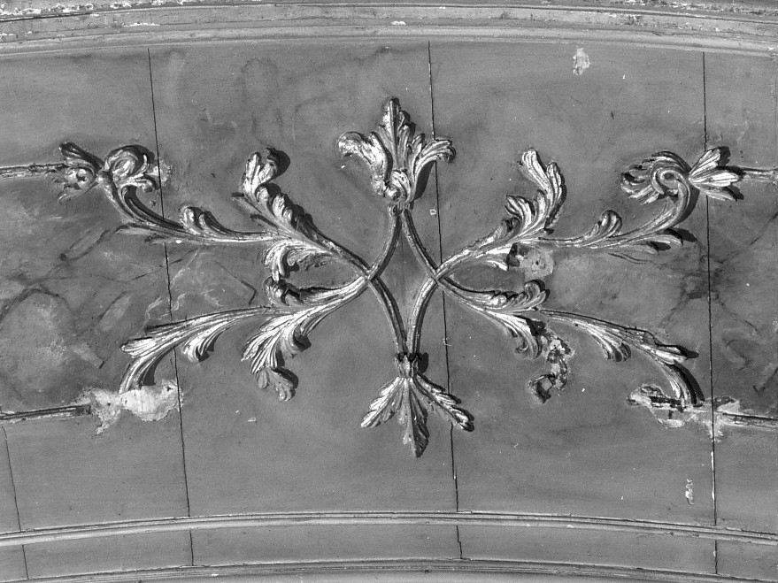 motivi decorativi vegetali stilizzati (rilievo, elemento d'insieme) - ambito mantovano (ultimo quarto sec. XVIII)