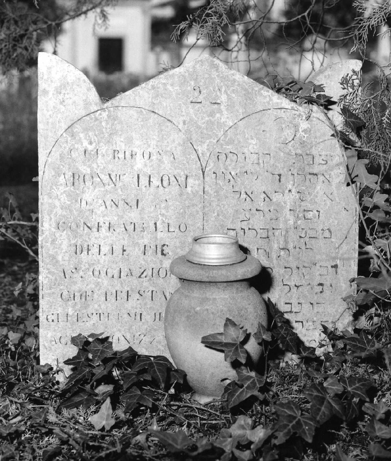 lapide tombale - ambito veneto (sec. XX)