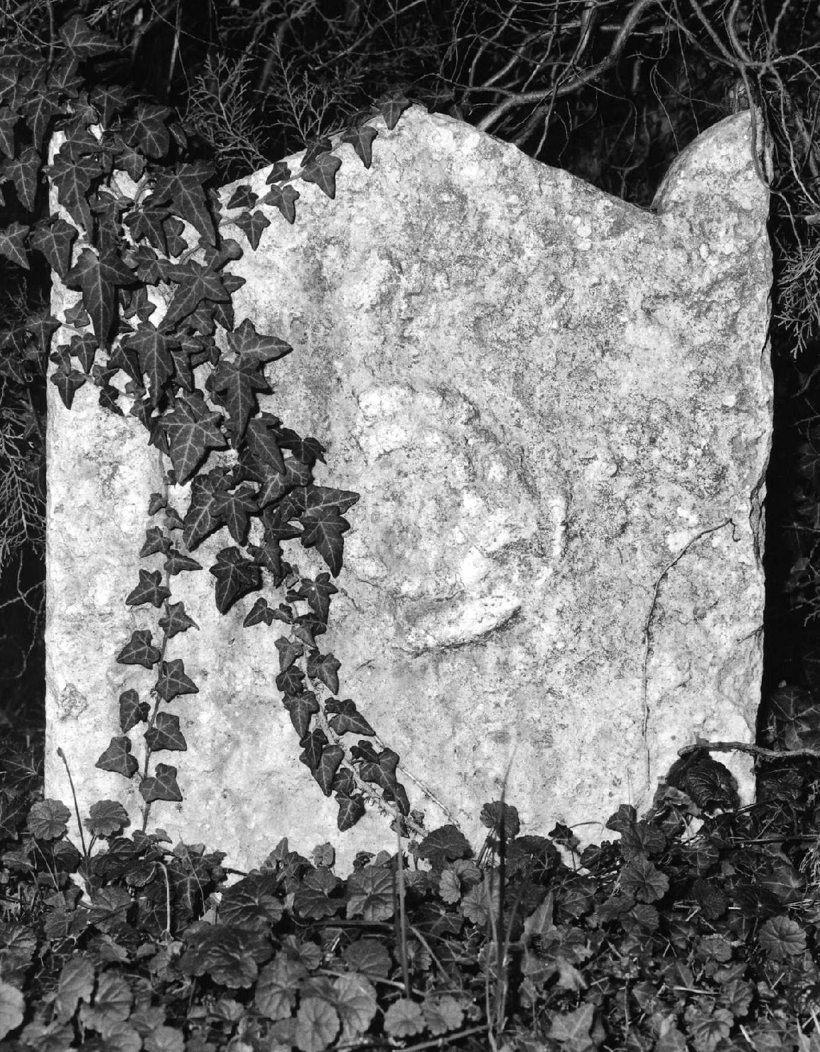 lapide tombale - ambito veneto (sec. XX)