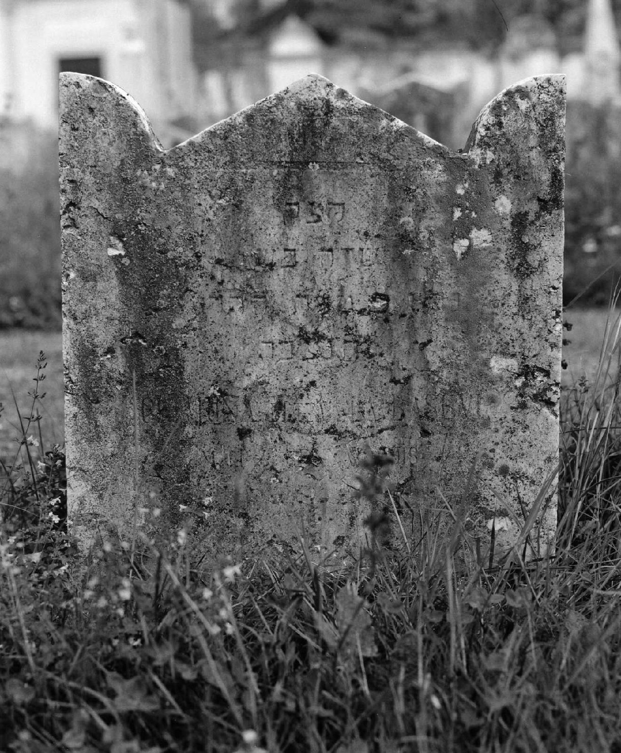 lapide tombale - ambito veneto (sec. XX)