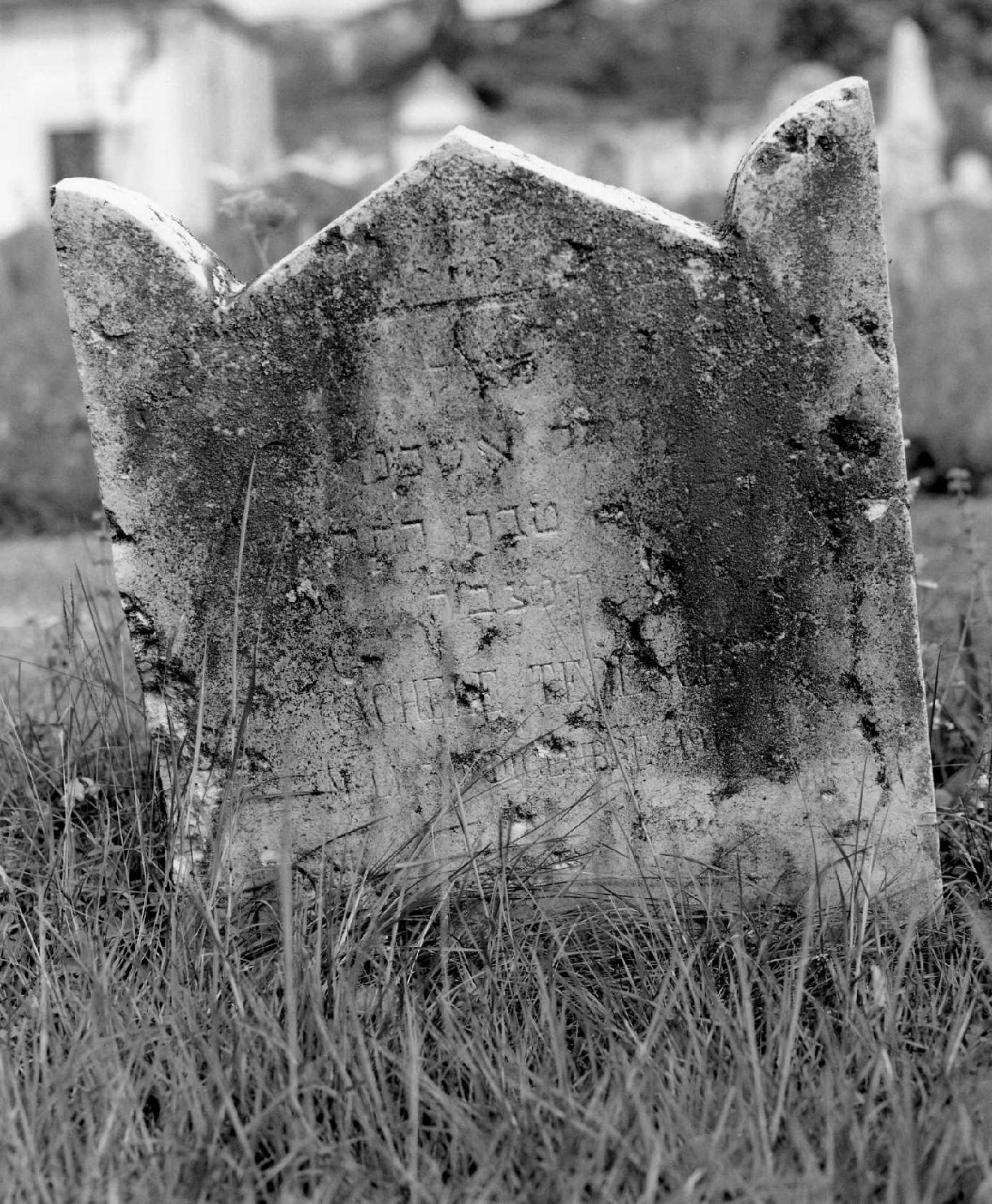 lapide tombale - ambito veneto (sec. XX)